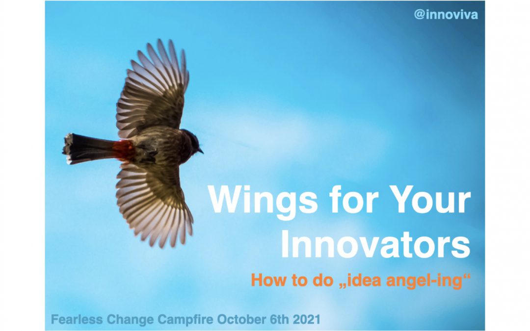Wings for Your Innovators – Campfire