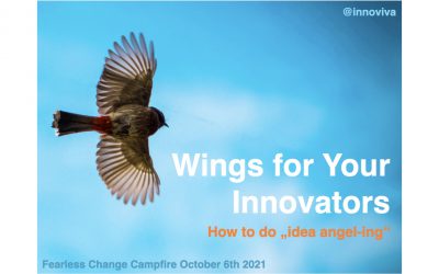 Wings for Your Innovators – Campfire